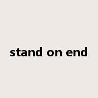 stand on end是什么意思