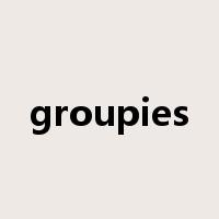 groupies是什么意思