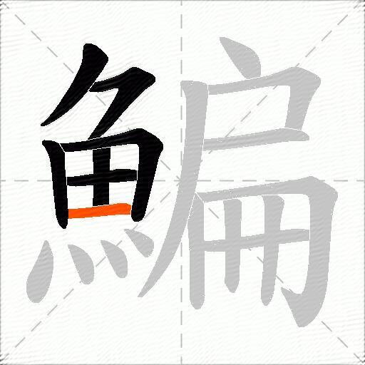 鯿