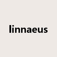 linnaeus是什么意思