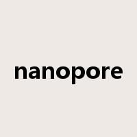 nanopore是什么意思
