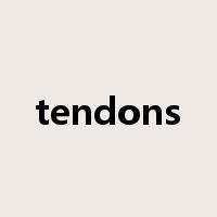 tendons是什么意思