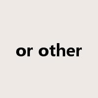 or other是什么意思