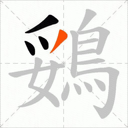 鵎