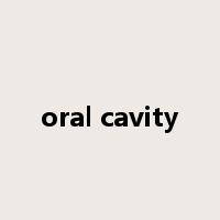 oral cavity是什么意思