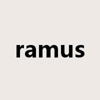 ramus是什么意思