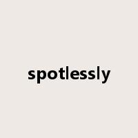 spotlessly是什么意思