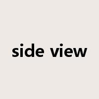 side view是什么意思