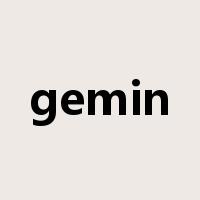 gemin是什么意思