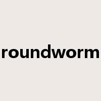 roundworm是什么意思