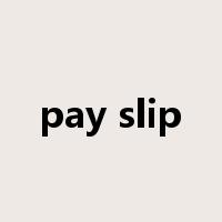 pay slip是什么意思