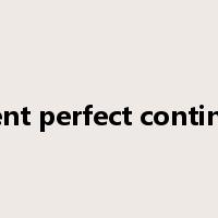 present perfect continuous是什么意思