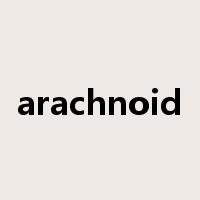 arachnoid是什么意思