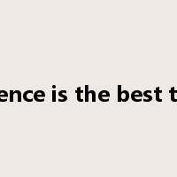experience is the best teacher是什么意思