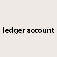 ledger account是什么意思