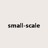 small-scale是什么意思