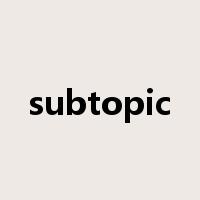 subtopic是什么意思