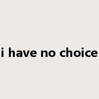 i have no choice是什么意思