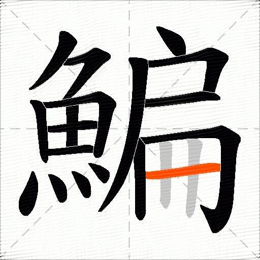 鯿