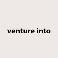 venture into是什么意思
