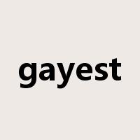 gayest是什么意思