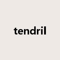 tendril是什么意思