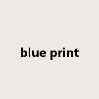 blue print是什么意思
