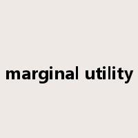 marginal utility是什么意思