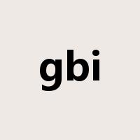 gbi是什么意思