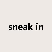 sneak in是什么意思