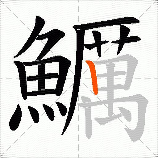 鱱