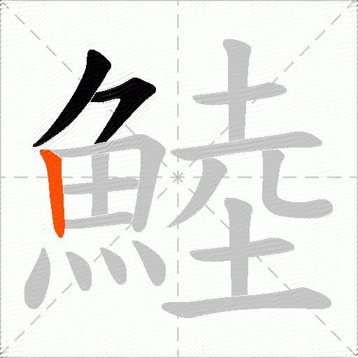 鯥