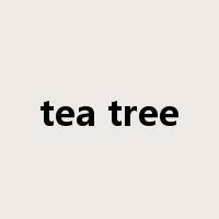 tea tree是什么意思