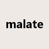 malate是什么意思