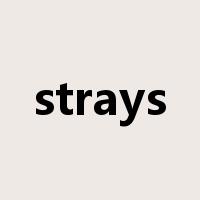 strays是什么意思
