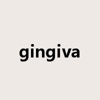 gingiva是什么意思