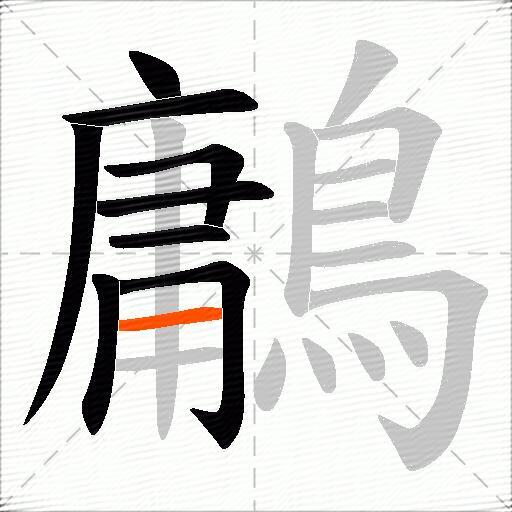 鷛
