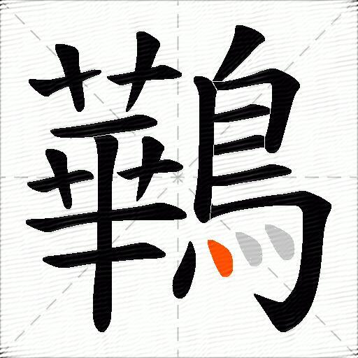 鷨