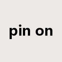 pin on是什么意思