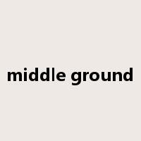 middle ground是什么意思