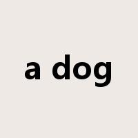 a dog是什么意思