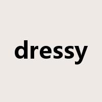 dressy是什么意思