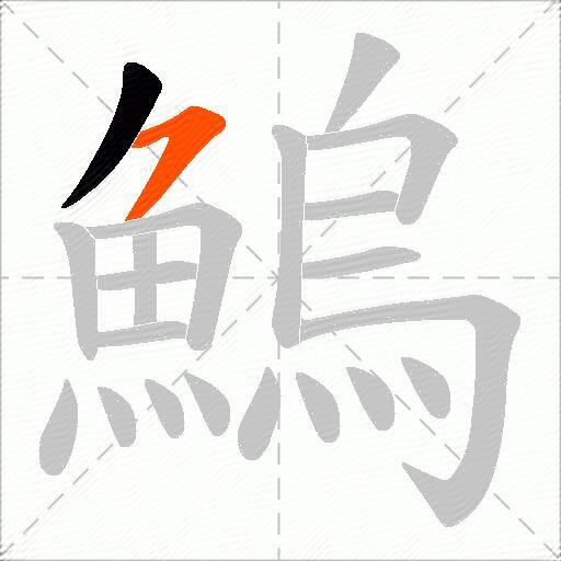 鰞