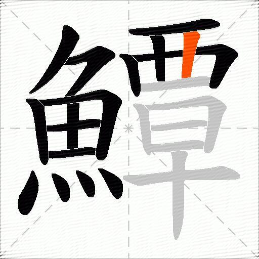 鱏