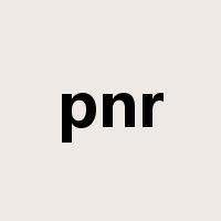 pnr是什么意思