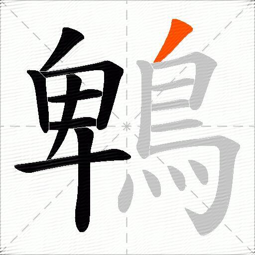 鵯