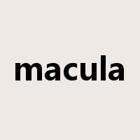 macula是什么意思
