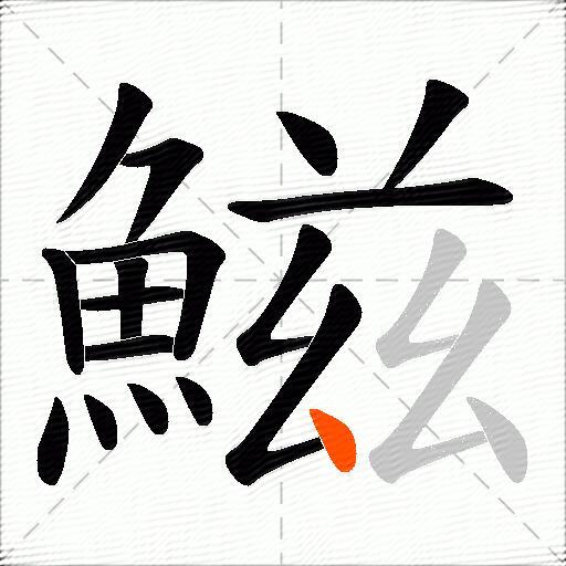 鰦