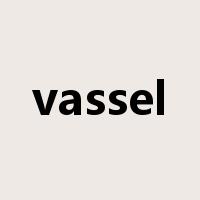 vassel是什么意思