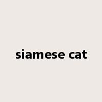 siamese cat是什么意思